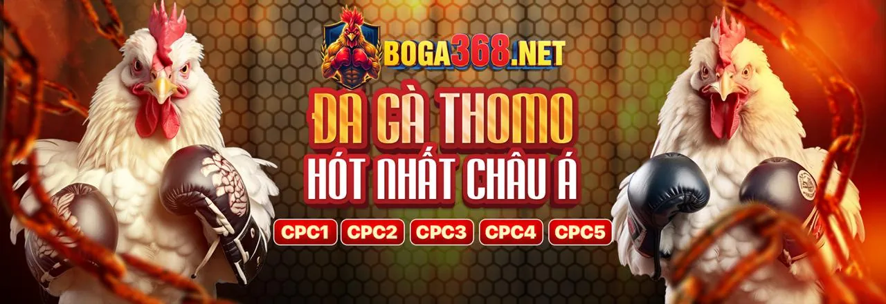 Khuyến mãi hấp dẫn 8live App 2026