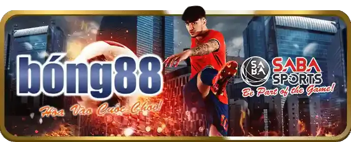 Phản hồi nhanh chóng của 8live App